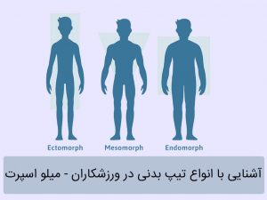 آشنایی با انواع تیپ بدنی در ورزشکاران
