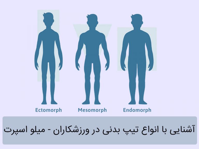 آشنایی با انواع تیپ بدنی در ورزشکاران
