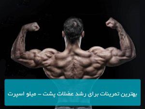 بهترین تمرینات برای رشد عضلات پشت