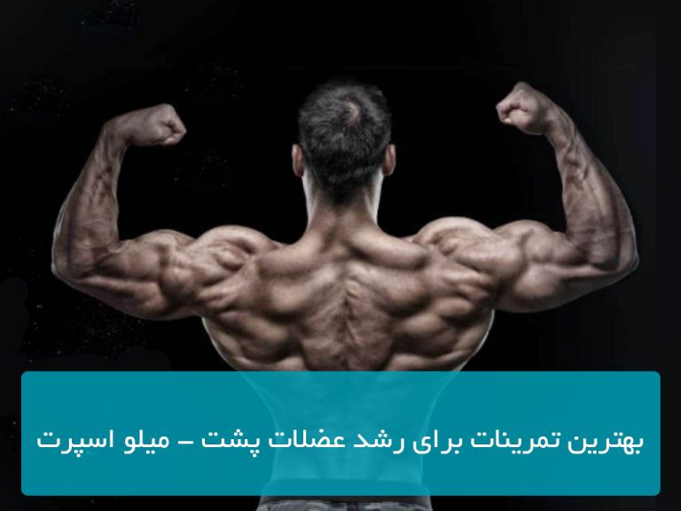 بهترین تمرینات برای رشد عضلات پشت