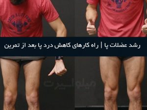 رشد عضلات پا