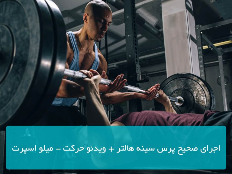 پرس سینه هالتر