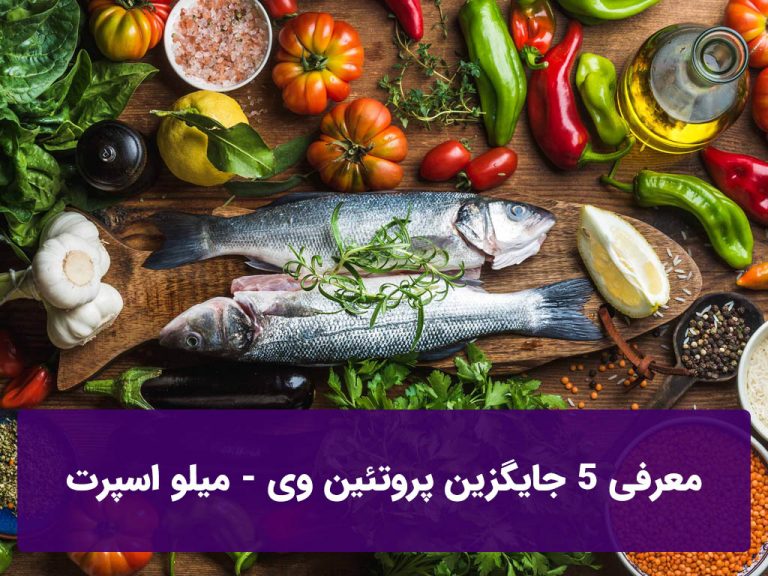 معرفی ۵ جایگزین پروتئین وی