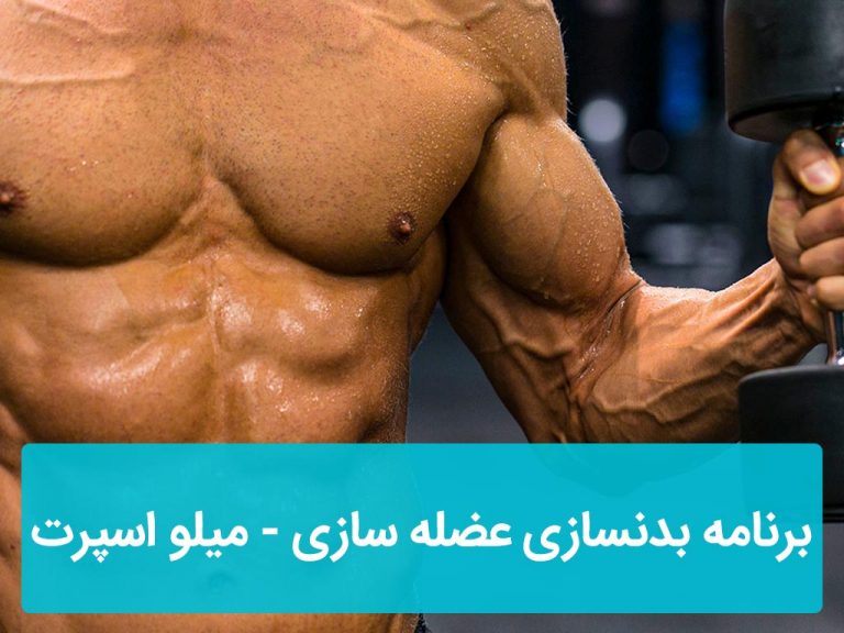 برنامه بدنسازی عضله سازی
