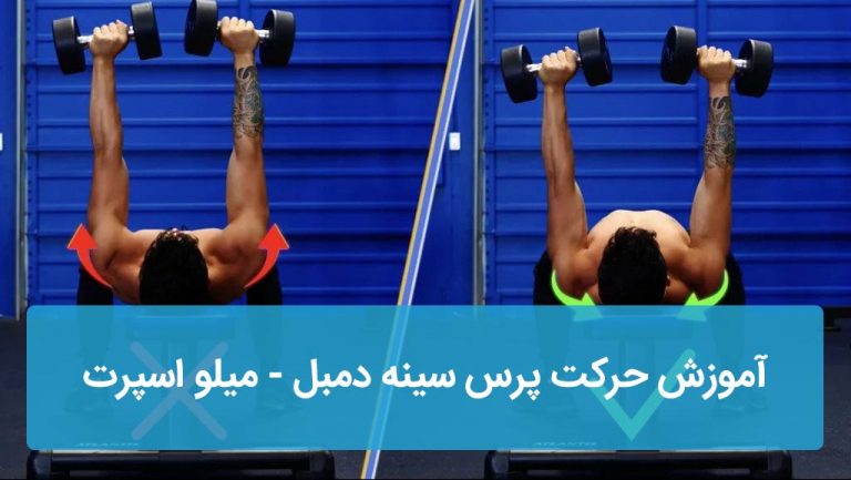 حرکت پرس سینه دمبل