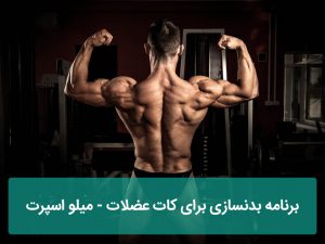 برنامه بدنسازی برای کات عضلات