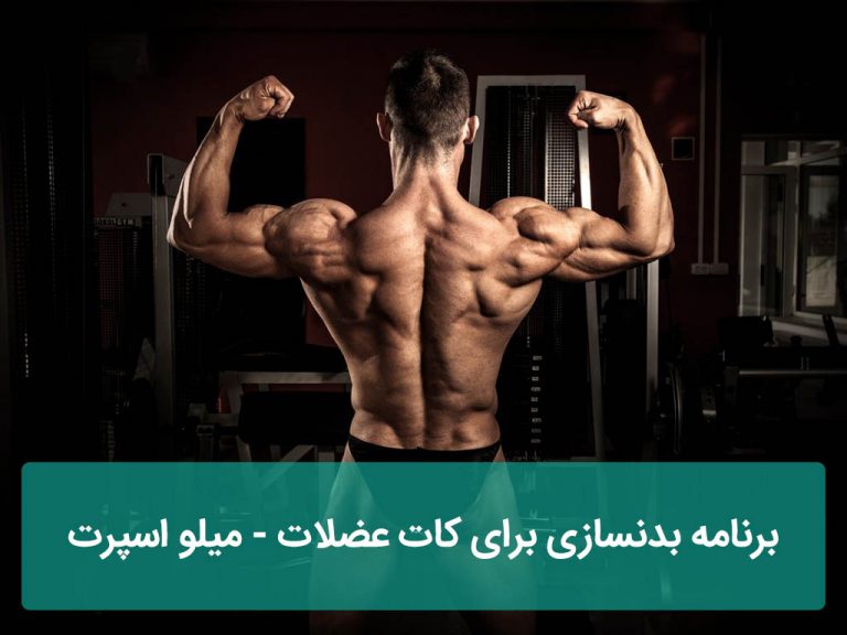برنامه بدنسازی برای کات عضلات