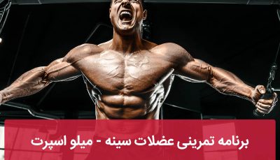 برنامه تمرینی سینه