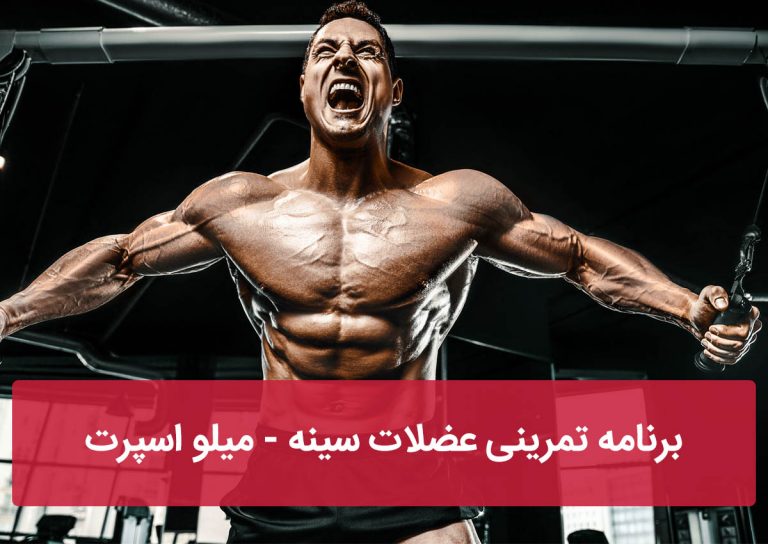 برنامه تمرینی سینه