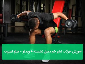 نشر خم دمبل نشسته