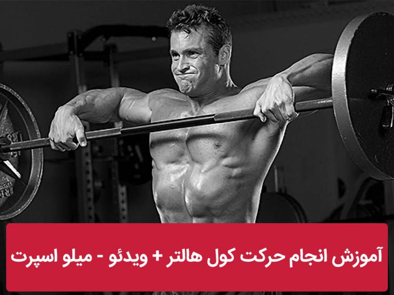 کول هالتر