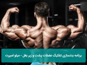 برنامه بدنسازی تفکیک عضلات پشت و زیر بغل