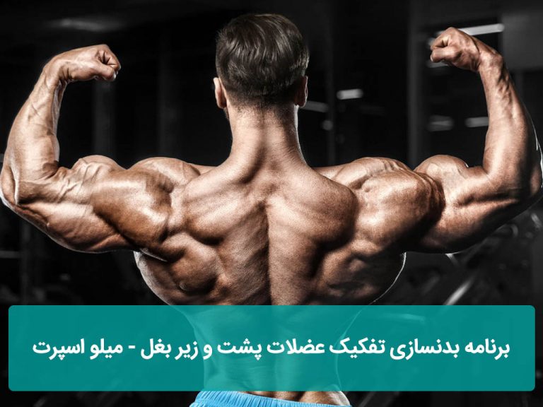 برنامه بدنسازی تفکیک عضلات پشت و زیر بغل