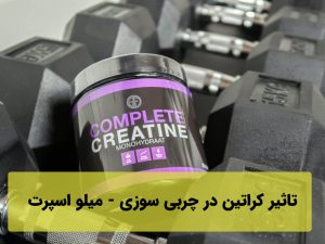تاثیر کراتین در چربی سوزی