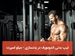 تیپ بدنی اندومورف در بدنسازی