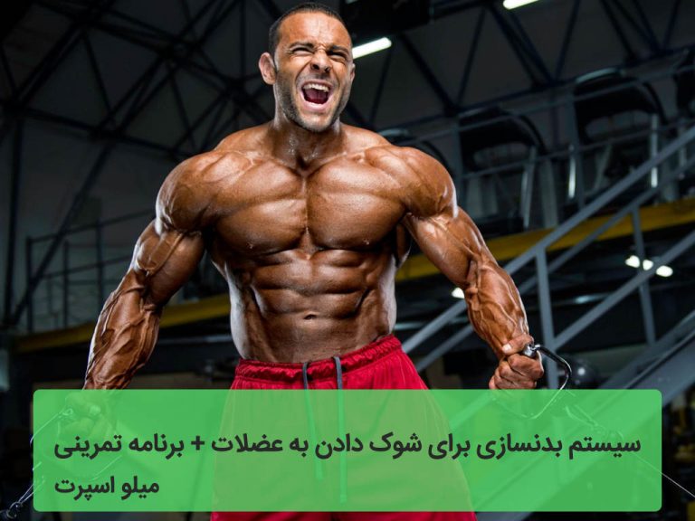 سیستم بدنسازی برای شوک دادن به عضلات