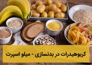 کربوهیدرات در بدنسازی