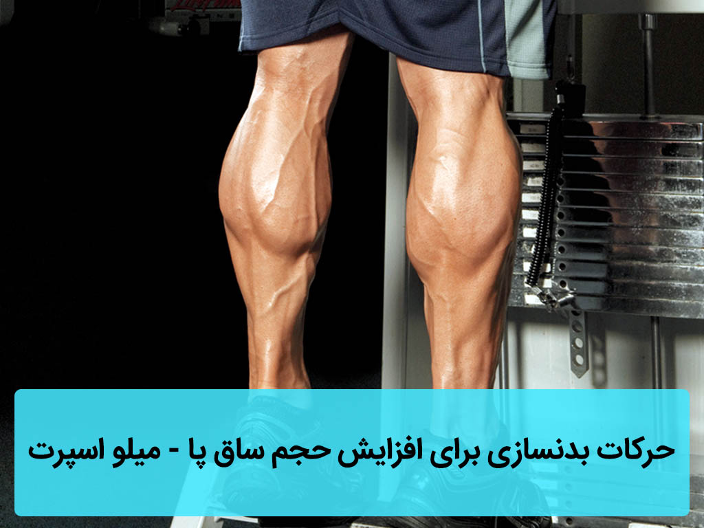 حرکات بدنسازی برای افزایش حجم ساق پا