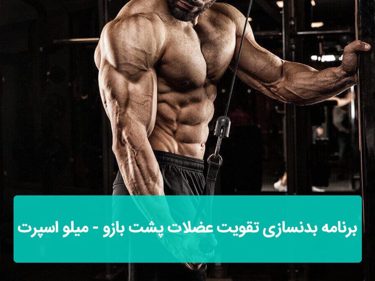 برنامه بدنسازی تقویت عضلات پشت بازو