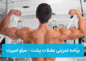 برنامه تمرینی عضلات پشت