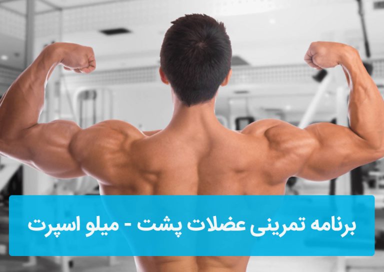 برنامه تمرینی عضلات پشت