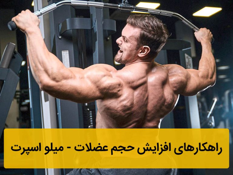 راهکارهای افزایش حجم عضلات