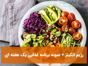 رژیم اتکینز