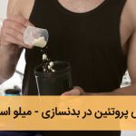 پروتئین در بدنسازی