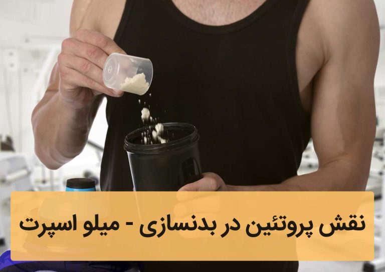 پروتئین در بدنسازی