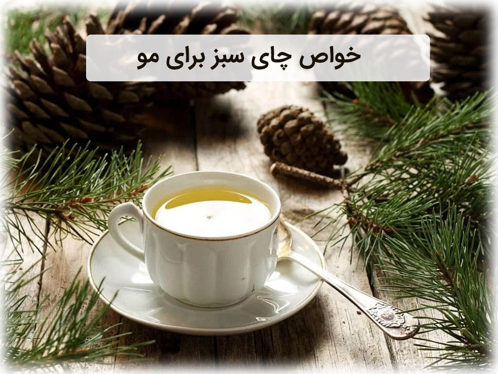 خواص چای سبز برای مو